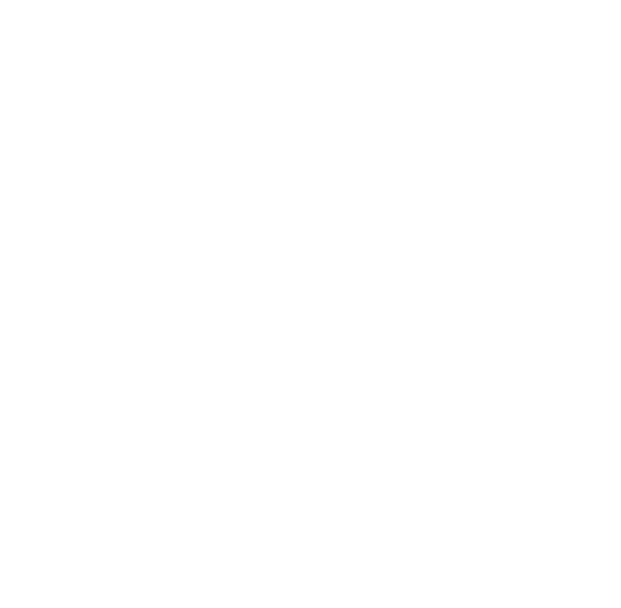 Lupo Devices logo